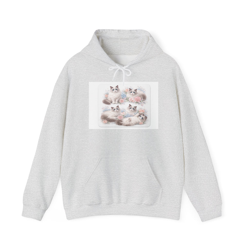 Fluffy Ragdoll Kittens Hoodie | Cute Cat Portraits