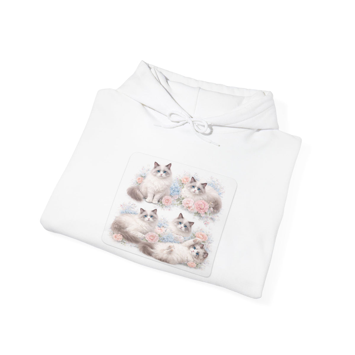 Fluffy Ragdoll Kittens Hoodie | Cute Cat Portraits