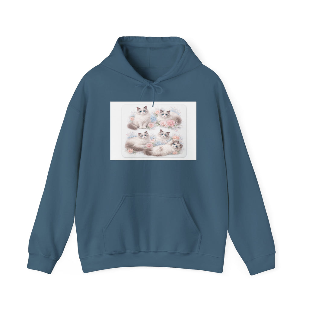 Fluffy Ragdoll Kittens Hoodie | Cute Cat Portraits