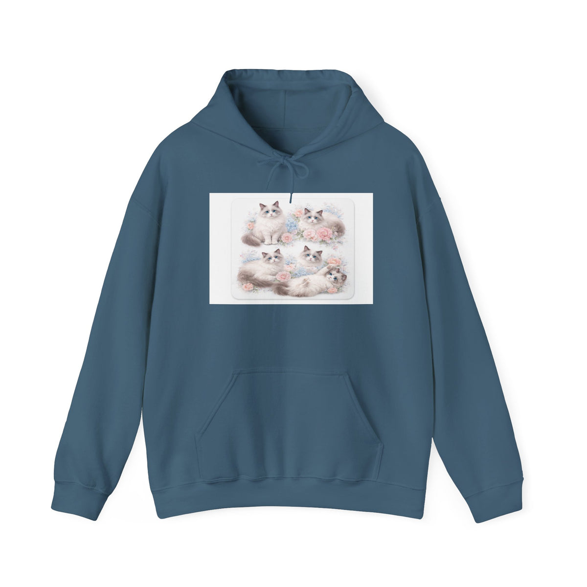 Fluffy Ragdoll Kittens Hoodie | Cute Cat Portraits