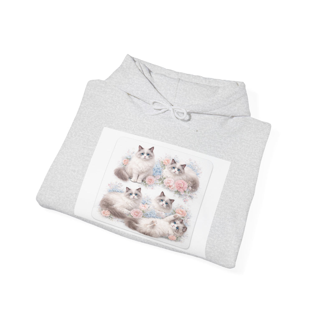 Fluffy Ragdoll Kittens Hoodie | Cute Cat Portraits