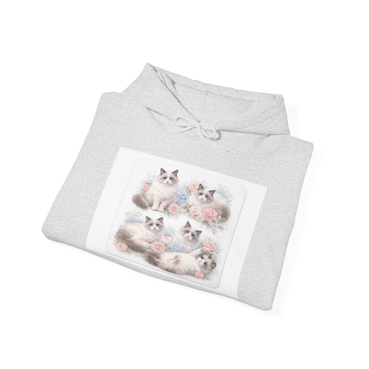 Fluffy Ragdoll Kittens Hoodie | Cute Cat Portraits