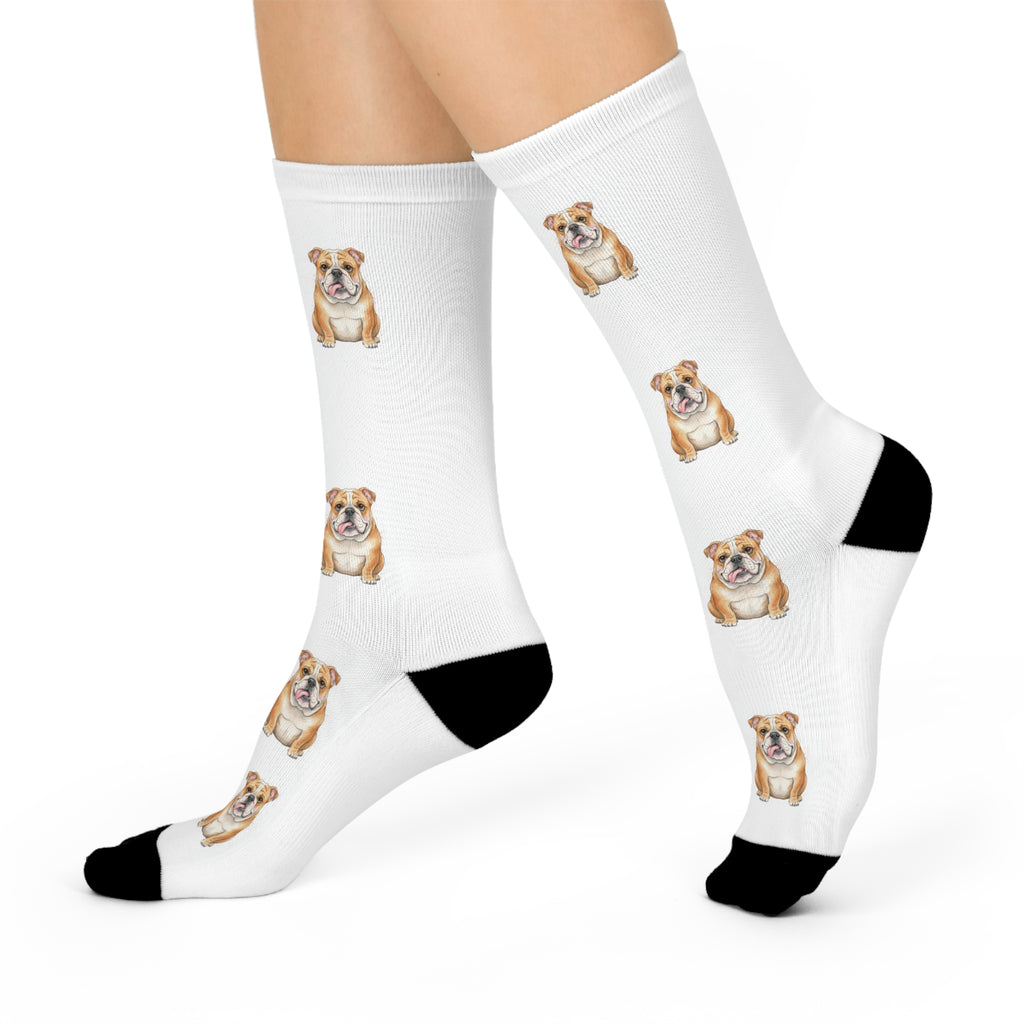 Bulldog Playful Tongue out Crew Socks great gift for any Bullie lover