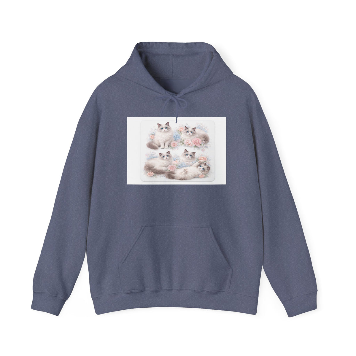 Fluffy Ragdoll Kittens Hoodie | Cute Cat Portraits
