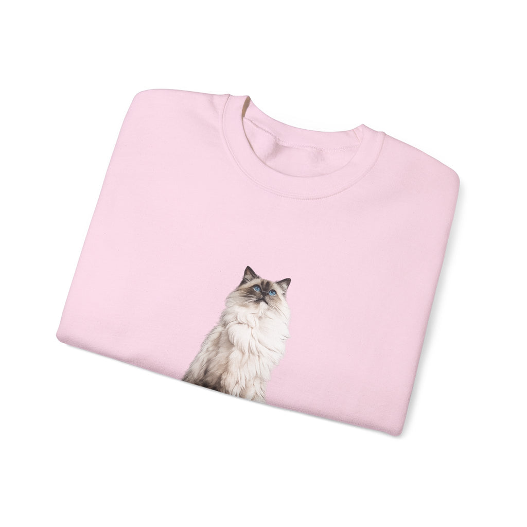 Ragdoll cat crewneck sweatshirt | cozy cat apparel | small-3xl
